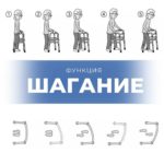 6876800497